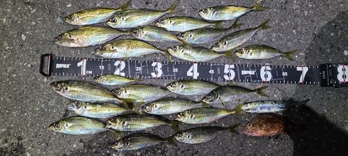 小名浜港市場前