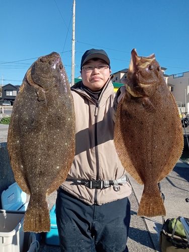 ヒラメの釣果