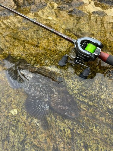 船越湾（岩手）