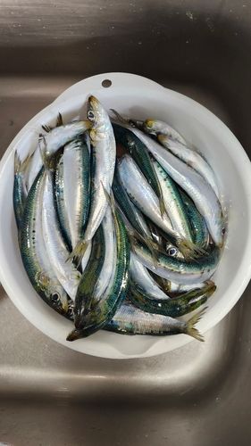 小名浜港アクアマリンふくしま周辺