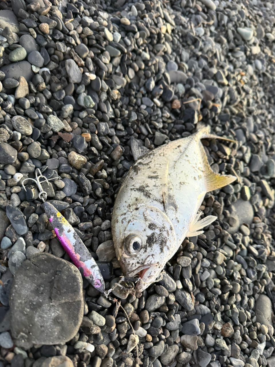 SHIMANO 20ルナミス S110Mの最安値・インプレ・釣果 | 本音の口コミが