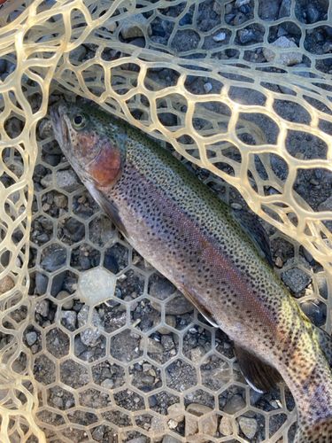 アルクスポンド焼津