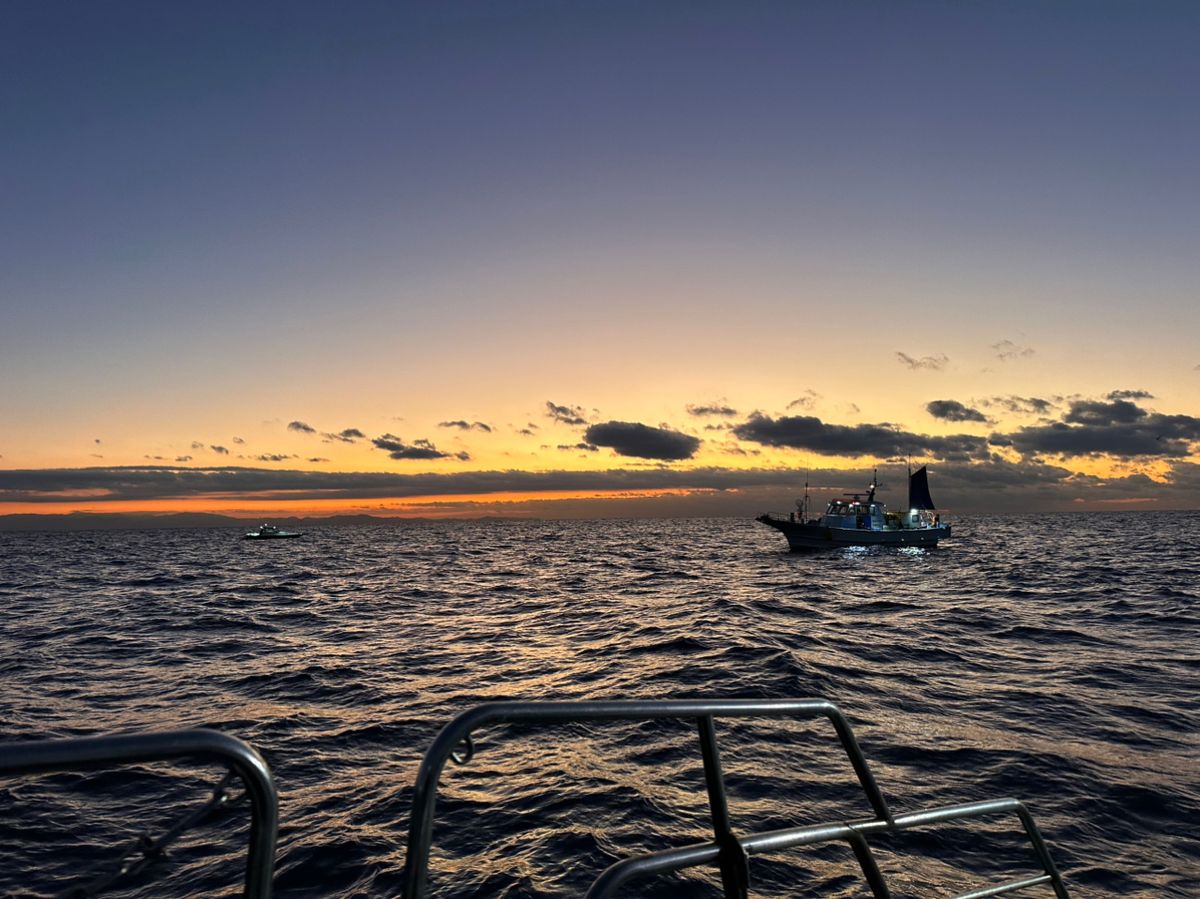 蒲焼さんの釣果 2枚目の画像