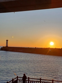 アカハタの釣果