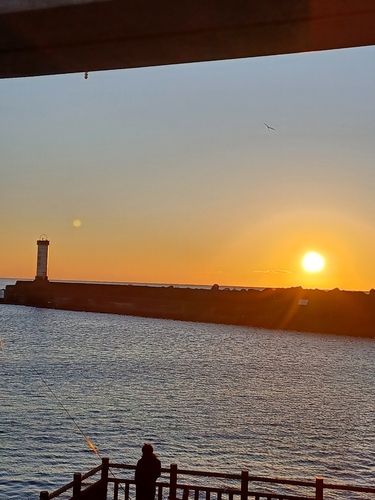 アカハタの釣果