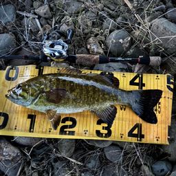 スモールマウスバス