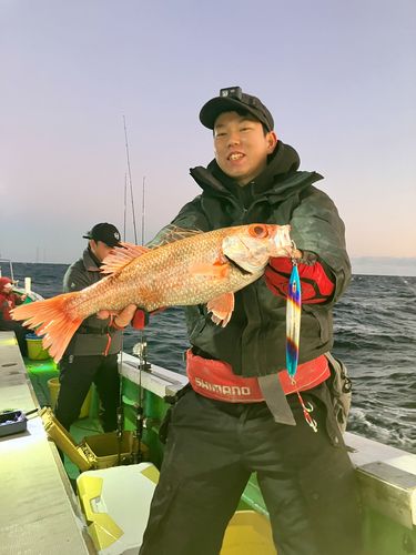 アカムツの釣果