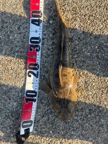 新舞子マリンパーク