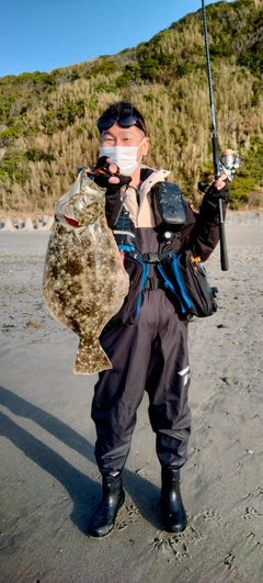 ヒラメの釣果