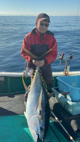 キハダマグロの釣果