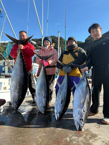 キハダマグロの釣果