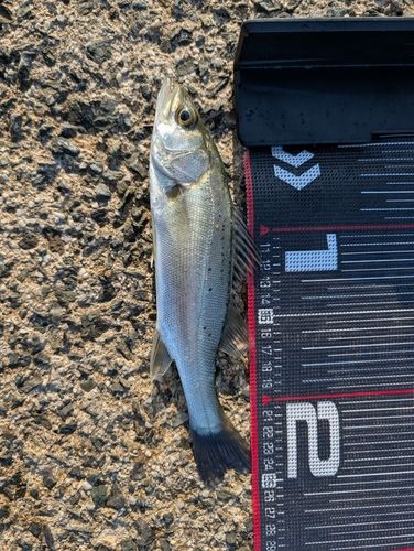 福間漁港海浜公園