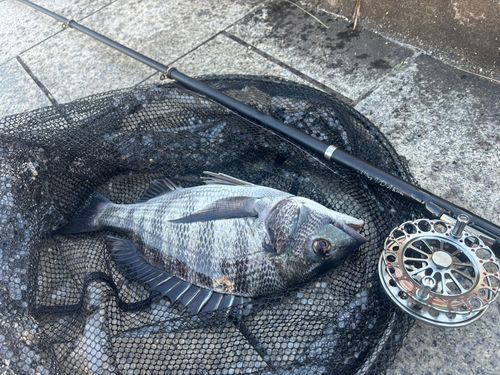 隅田川小名木川合流