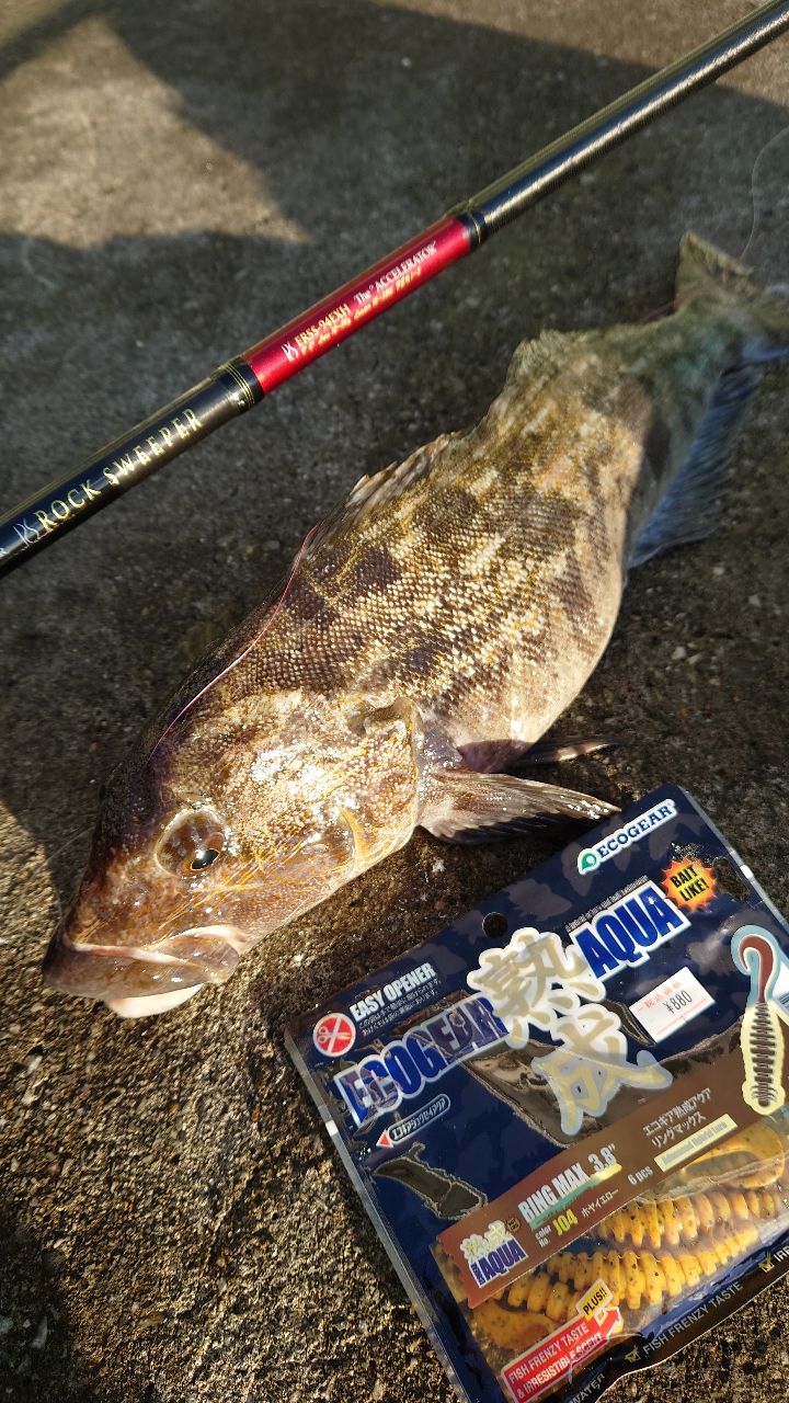 AbuGarcia エラディケーター ロックスイーパー ERSS-94EXHの最安値