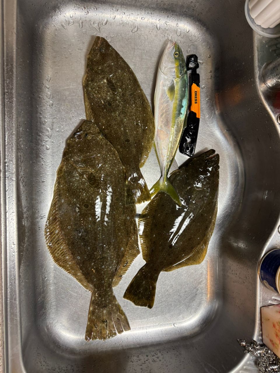 kunchanさんの釣果 3枚目の画像