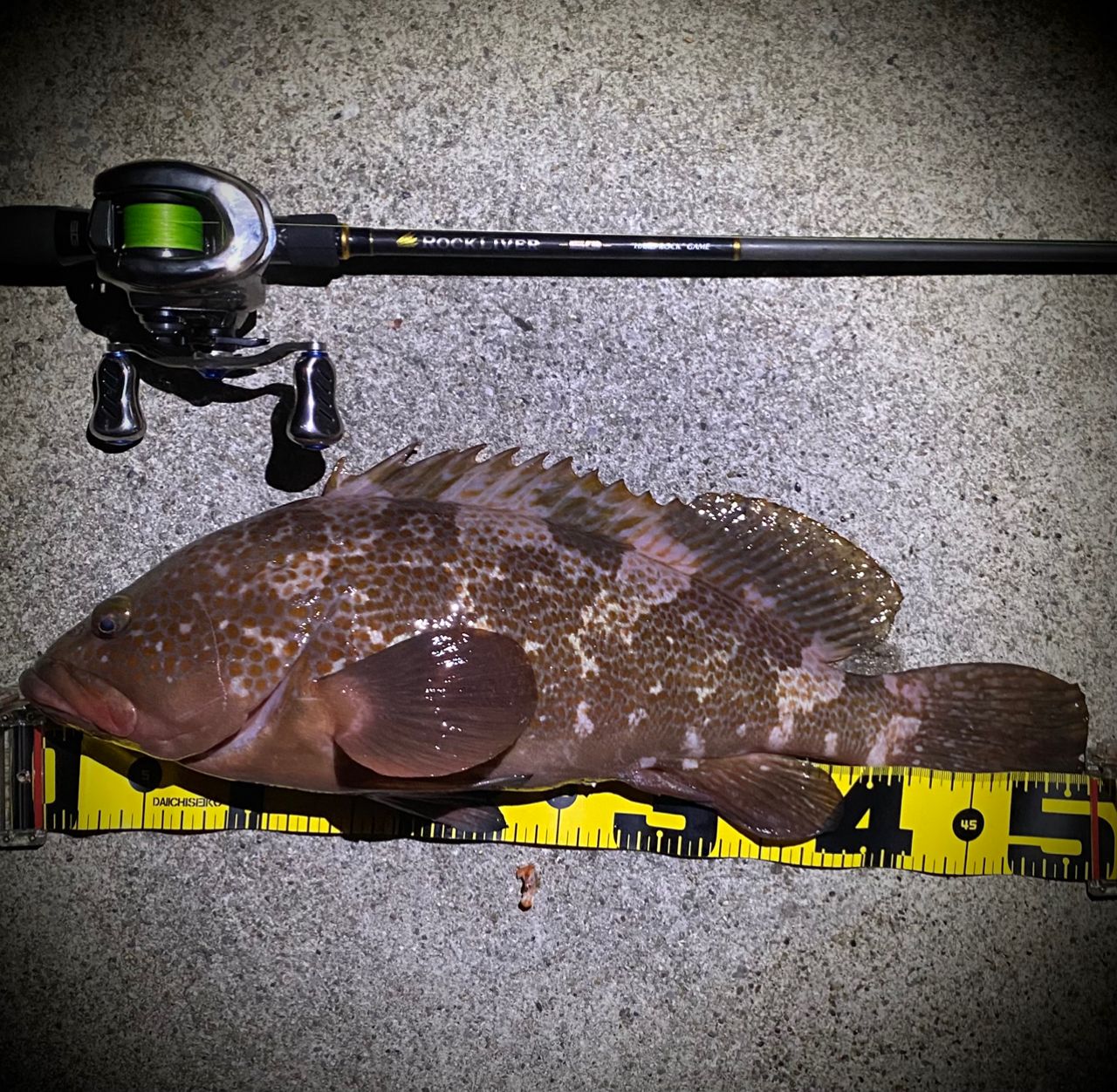 MajorCraft 23ロックライバー 5G RV5-852H/Bの最安値・インプレ・釣果