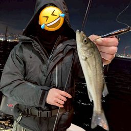 セイゴ（タイリクスズキ）