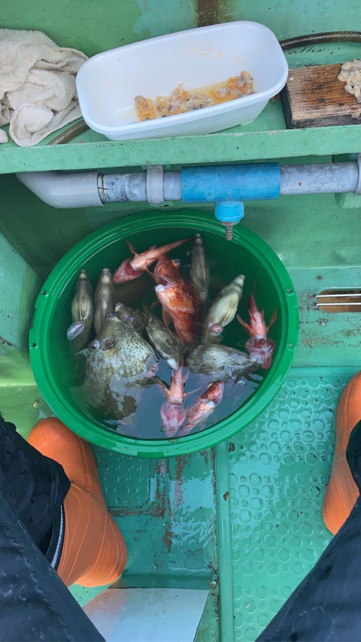 夏だけルアーマンさんの釣果 2枚目の画像