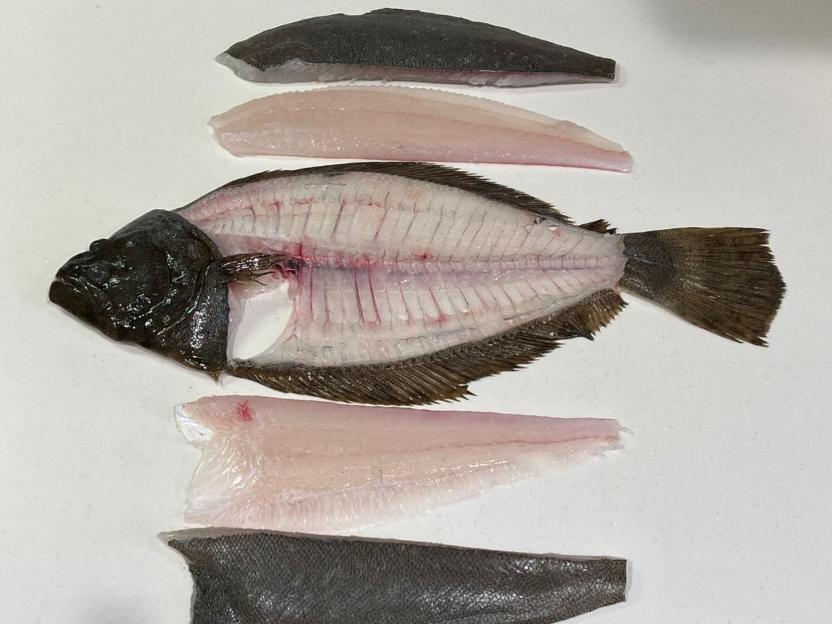 kpfile01さんの釣果 3枚目の画像