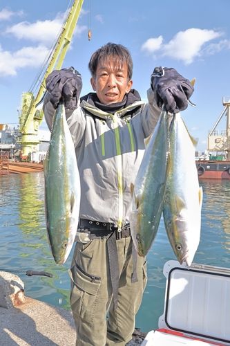 ハマチの釣果
