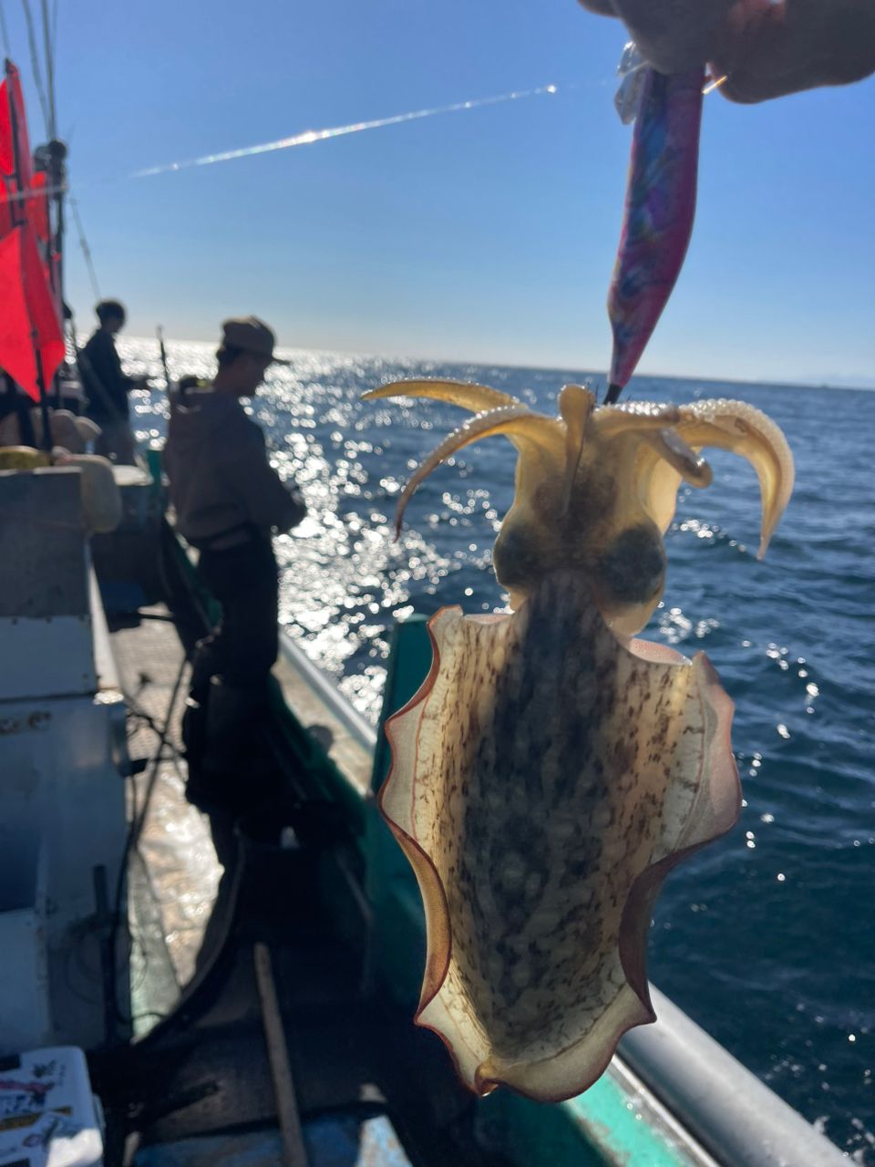 釣リスギアーノ ロナウドさんの釣果 3枚目の画像