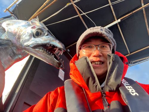 タチウオの釣果