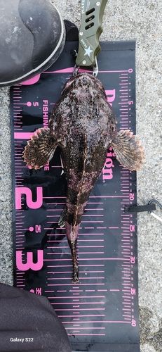 三陸海岸（青森）