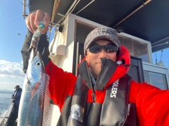 タチウオの釣果