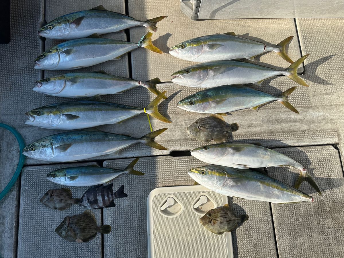 Jack 田尻漁港さんの釣果 1枚目の画像