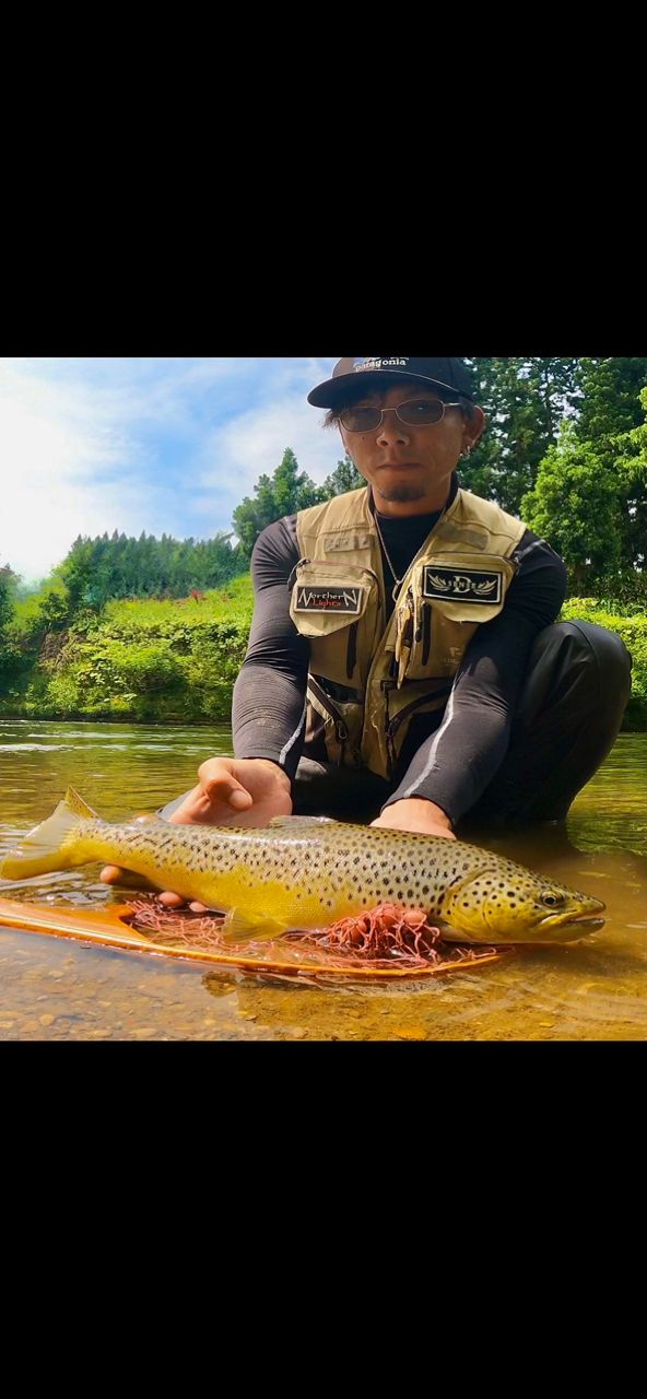 tailwalk ケイソン ランズバック スペック-N S56MLの最安値・インプレ