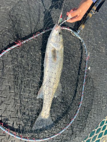 福岡市海づり公園