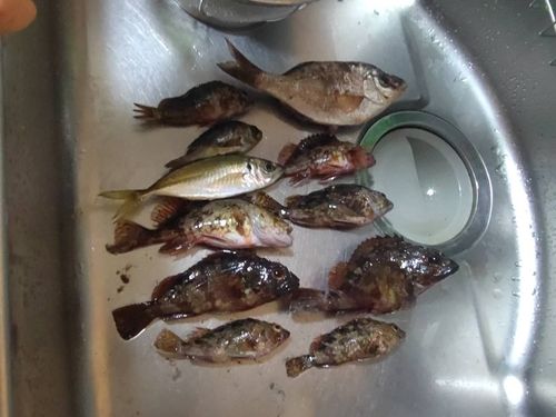 金沢水際線緑地（福浦岸壁）