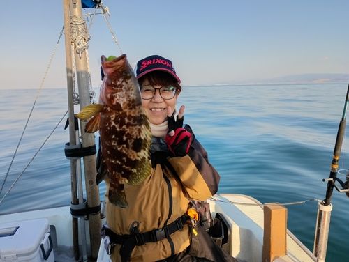 キジハタの釣果