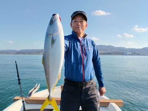 ハマチの釣果
