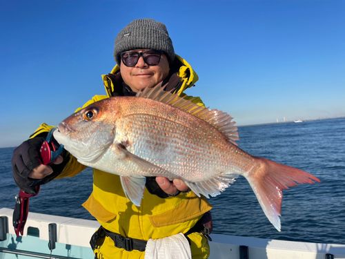 マダイの釣果