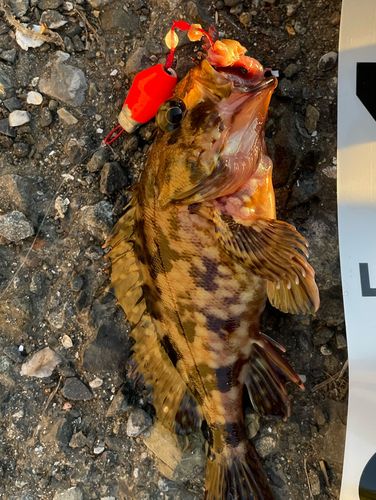 城南島海浜公園