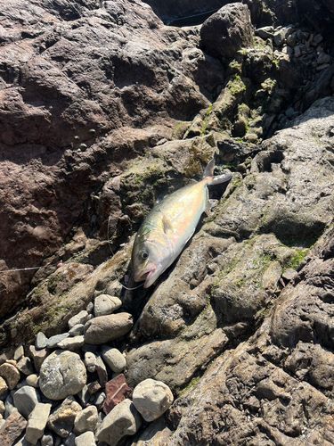 野見潮ばかり公園