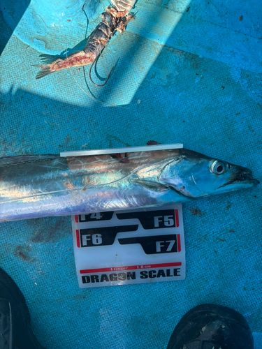 三陸海岸（宮城）