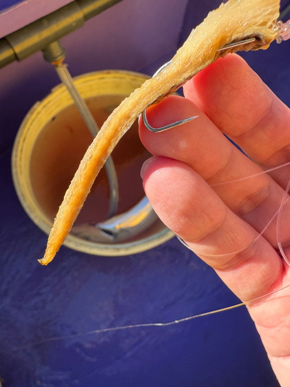 なんちゃって太公望さんの釣果 3枚目の画像