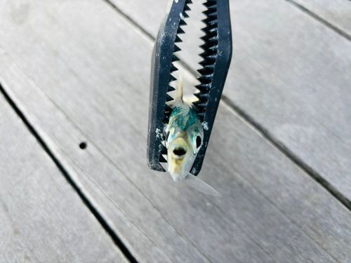 小名浜港アクアマリンふくしま周辺