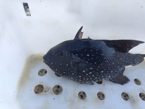 福浦港（羽咋）