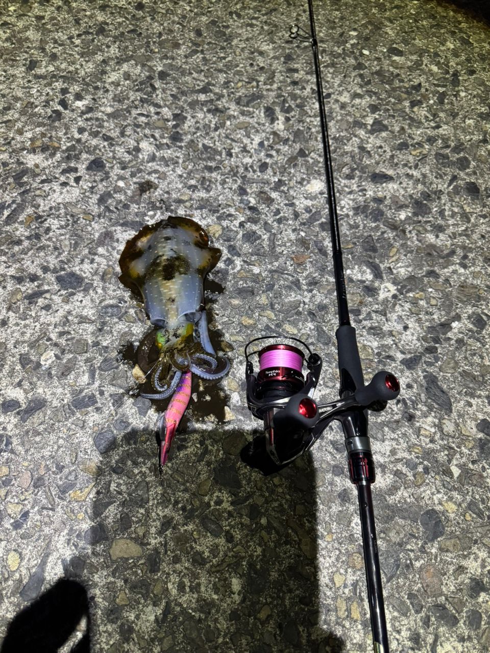 SHIMANO 20セフィア TT S86MLの最安値・インプレ・釣果 | 本音の口コミ