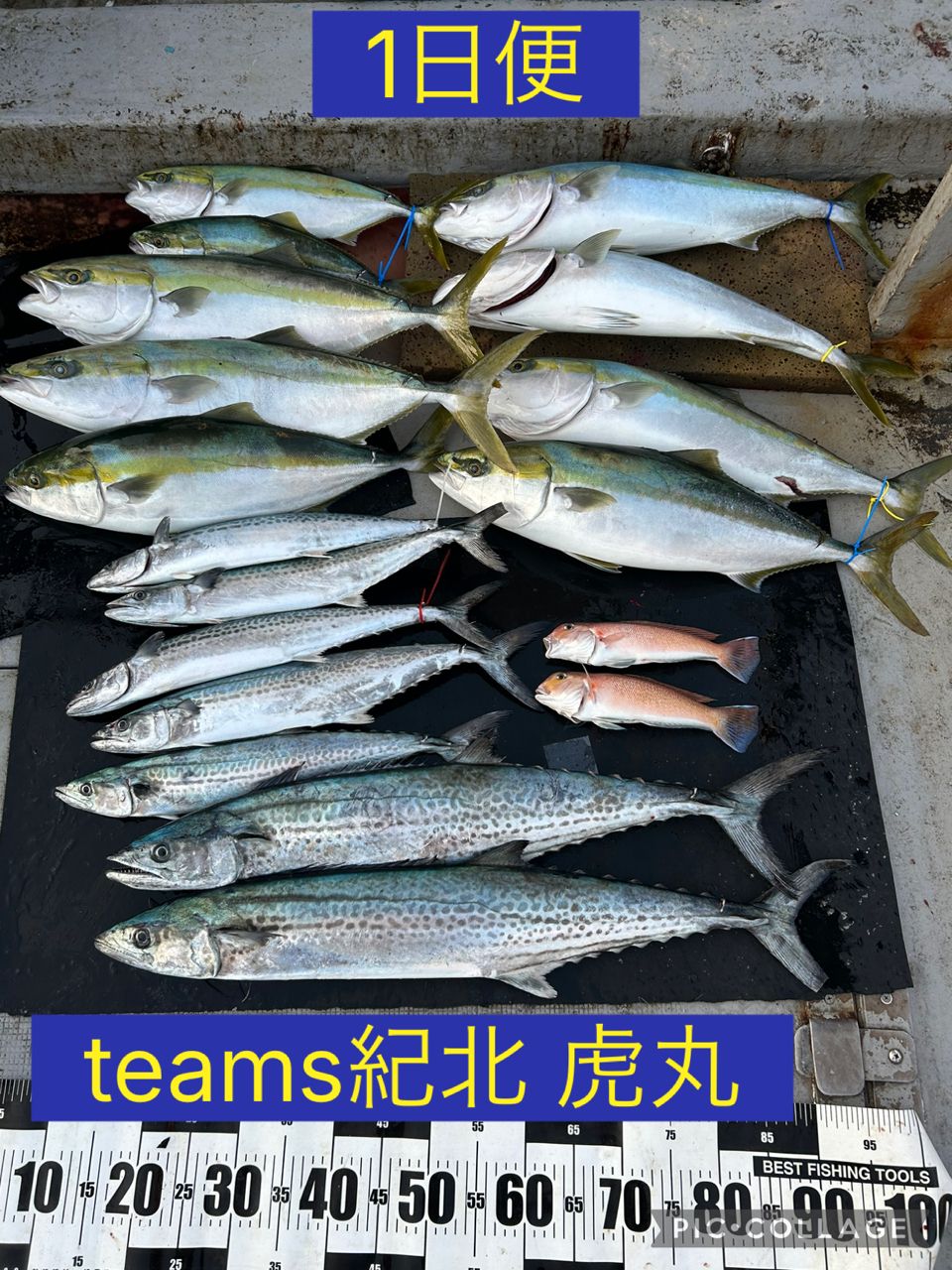 釣り船 虎丸さんの釣果 1枚目の画像