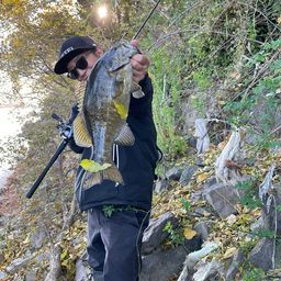 スモールマウスバス