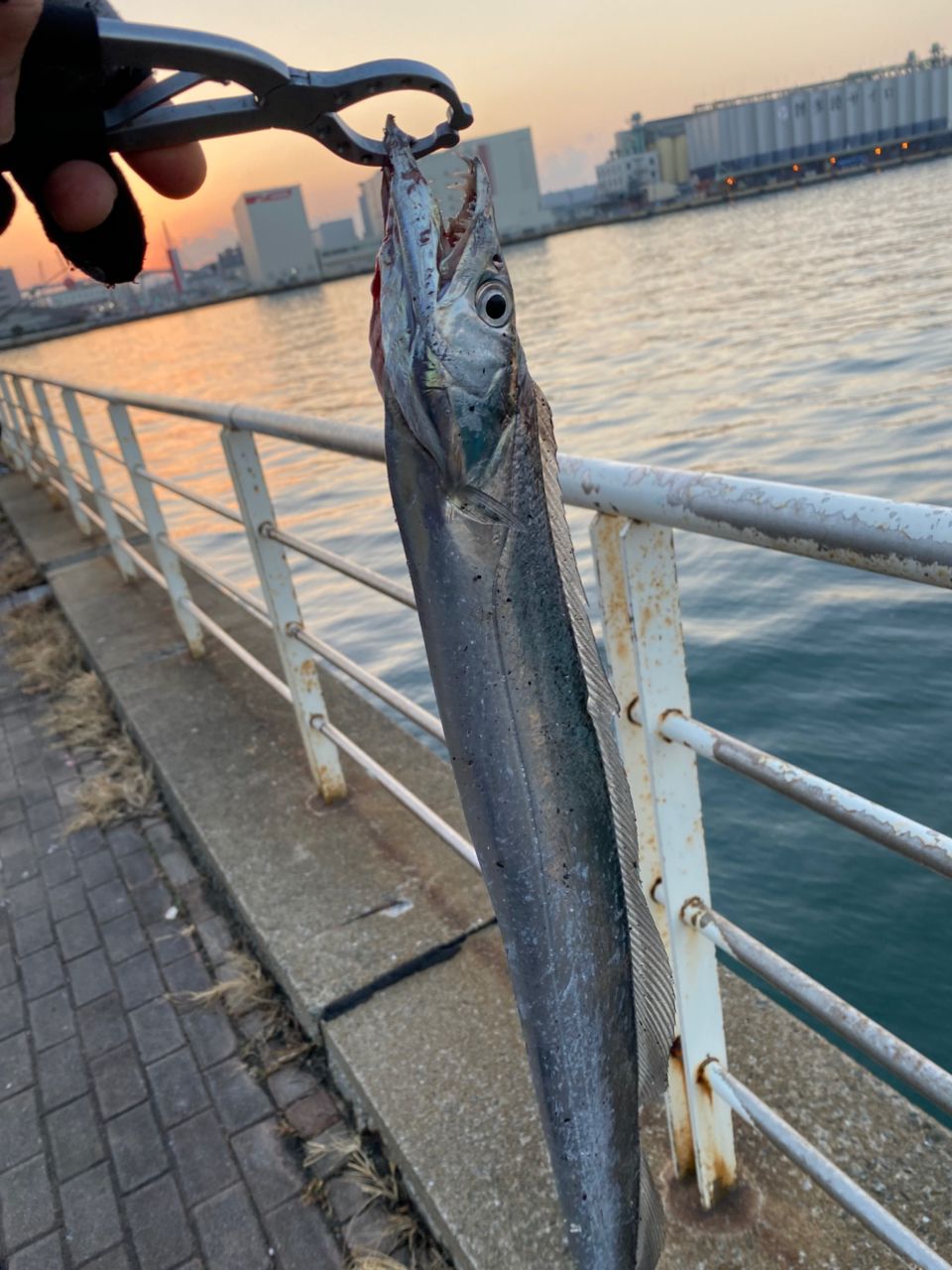 DAIWA 19ラテオ R 90MLの最安値・インプレ・釣果 | 本音の口コミが