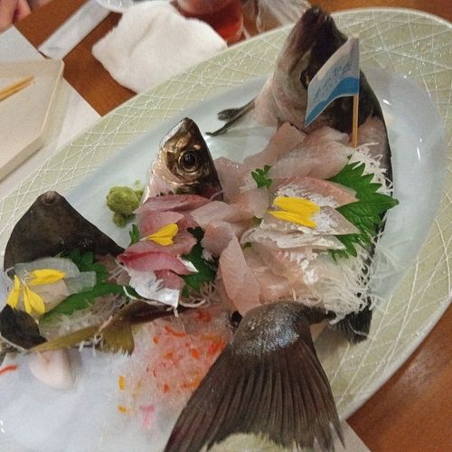 セイゴ（ヒラスズキ）の釣果