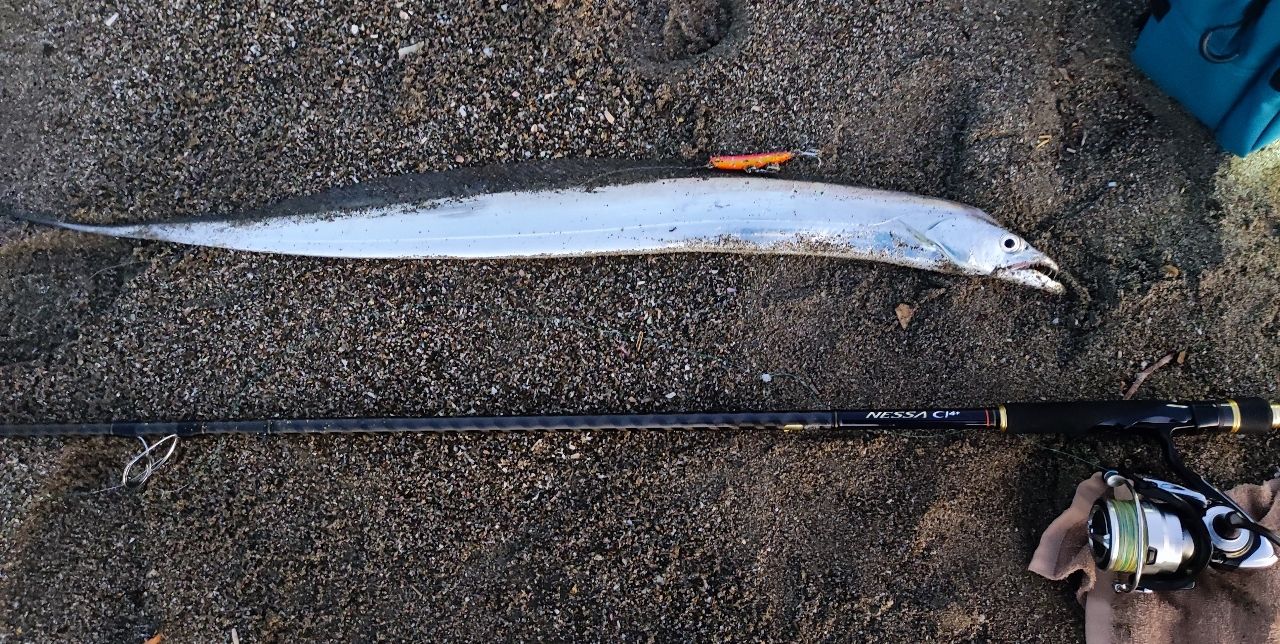 SHIMANO ネッサ CI4+ S1002MHの最安値・インプレ・釣果 | 本音の口コミ