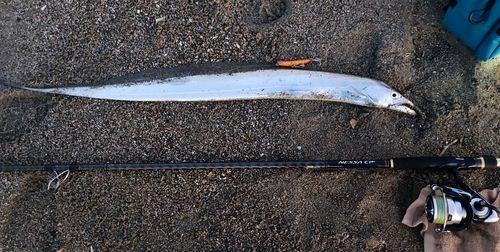 東京湾（富津〜金谷）