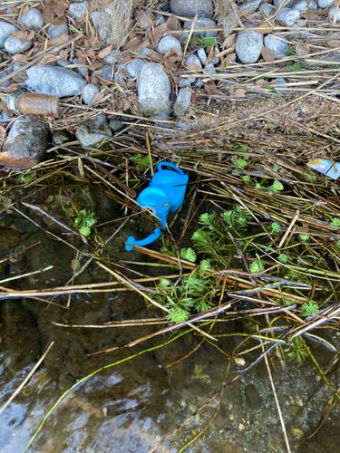 渡良瀬川思川合流