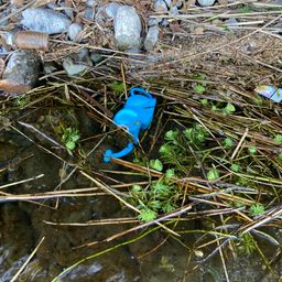 スモールマウスバス